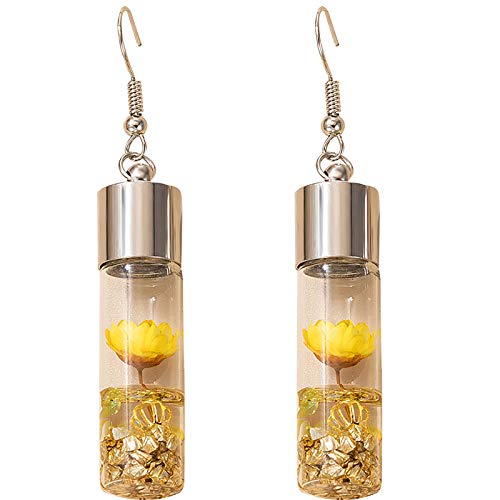 TianWlio Ohrringe für Damen Ohrstecker Schmuck Blumenverzierung trocken handgefertigte Blume mit ewigen Blättern Ohrringe aus Glas Ohrringe Damen Cubic Zirkonia Ohrstecker Set (AS show, One Size) von TianWlio