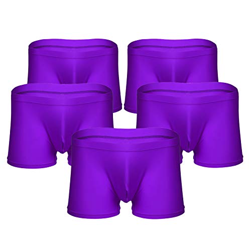 TiaoBug Herren Unterhosen Boxer Shorts Retro Briefs leicht transparent Männer Trunks Nahtlos Unterwäsche Hipster Panty gr. M-XXL Violett 5er Set L von TiaoBug