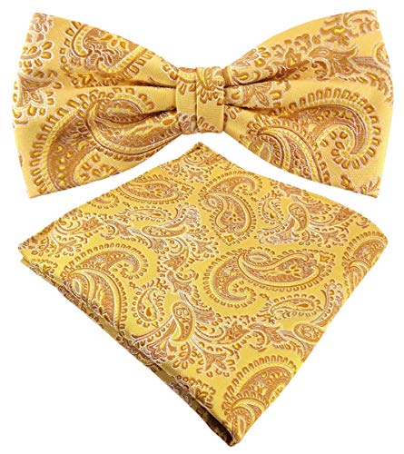 TigerTie Designer Seidenfliege + Einstecktuch Seide gold gelbgold silber Paisley von TigerTie