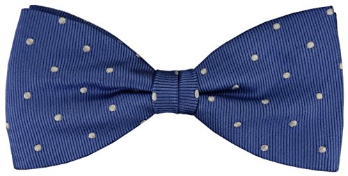 TigerTie Seidenfliege in blau sky silber gepunktet mit feiner Längsstreifen Rippe - Fliege 100% pure Seide + Aufbewahrungsbox von TigerTie