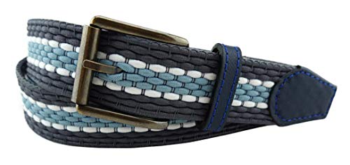 TigerTie hochwertiger Stretchgürtel mit Edelstahl Schnalle und echt Leder Applikationen grau hellblau weiß gestreift. Gürtelbreite 35 mm, Bundweite 90 cm von TigerTie