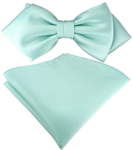 TigerTie vorgebundene Spitzfliege Schleife + Einstecktuch in mint grün Uni einfarbig + Aufbewahrungsbox von TigerTie