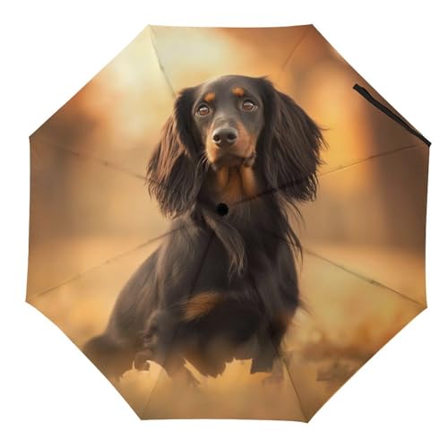 Tilivyx Regenschirme Dackel Hund Automatischer Faltschirm Uv-Sonnenschutz Regenschirme Tragbarer Regenschirm Tilivyx Regenschirme Dackel Hund Automatischer Faltschirm Uv-Sonnenschutz Regenschirme Tragbarer Regenschirm von Tilivyx