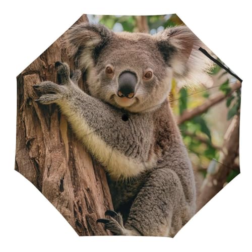 Tilivyx Regenschirme Niedlicher Koala Im Baum Automatischer Faltschirm Uv-Sonnenschutz Regenschirme Tragbarer Regenschirm von Tilivyx