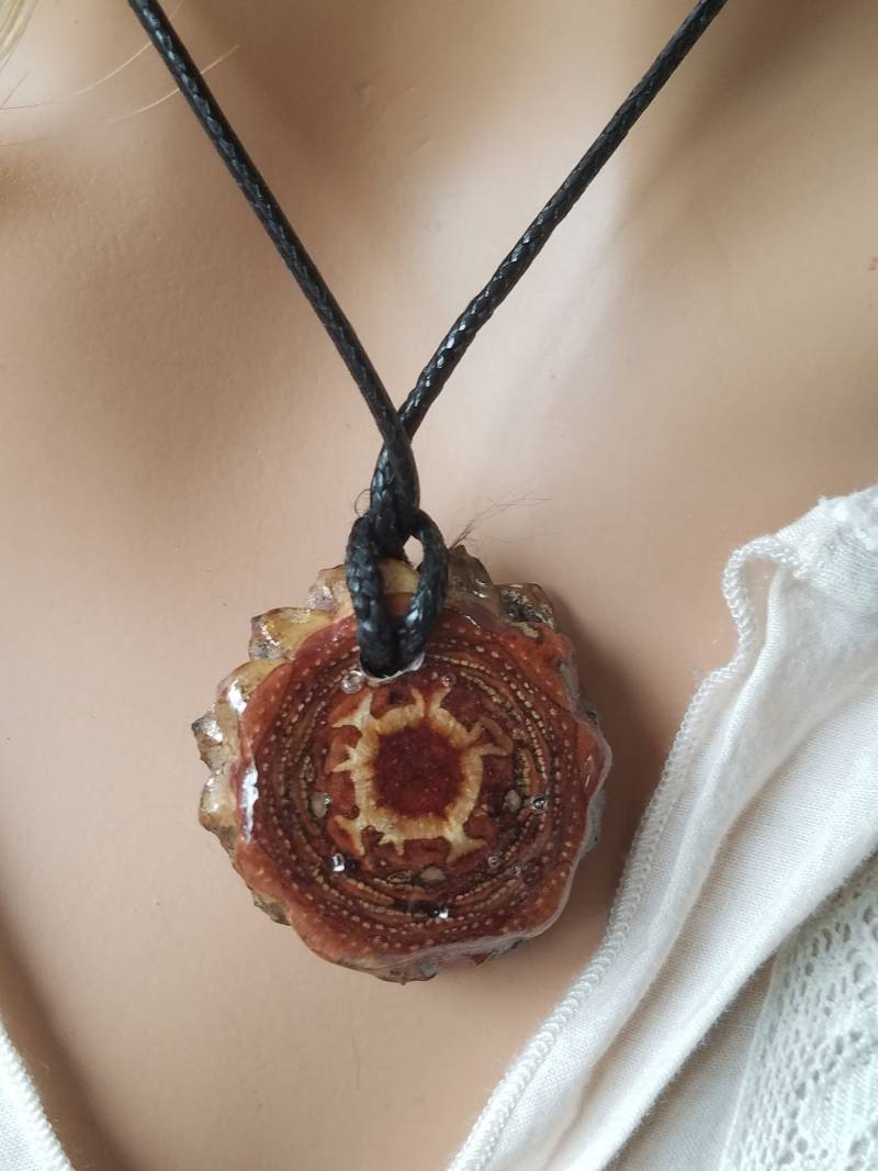 3. Augenkiefer 3Epfg1 von TillysTemptations