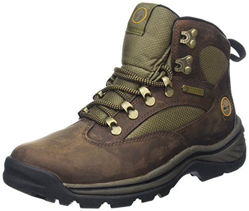 Timberland Damen Chocorua Trail Goretex Chukka Boots, Braun (Dark Brown/Green), 38.5 EU von Timberland