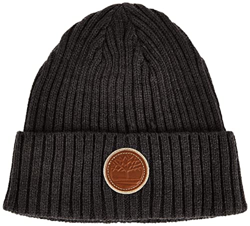 Timberland Herren Rib Shallow Beanie Winter-Hut, Grau (t100360c-010), Einheitsgröße von Timberland