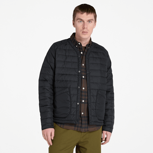 Timberland - Leichte isolierte Steppjacke für Herren in Schwarz, Herren, Schwarz, Größe: XL von Timberland