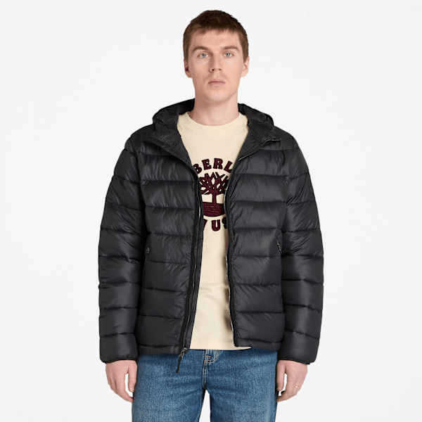 Timberland - Strapazierfähige, wasserabweisende Garfield Steppjacke für Herren in Schwarz, Herren, Schwarz, Größe: M von Timberland