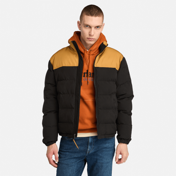 Timberland - Welch Mountain Steppjacke für Herren in Schwarz, Mann, Schwarz, Größe: XL Timberland - Welch Mountain Steppjacke für Herren in Schwarz, Mann, Schwarz, Größe: XL von Timberland