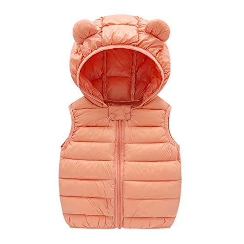 TinaDeer Baby Kleinkind Mädchen Jungen Daunenweste Steppweste mit Bärenohren Kapuze Kinder Weste Jacke Frühling Herbst Winter Ärmellos Kapuzenweste Winterweste für 1-6 Jahre (B, 12-18 Months) von TinaDeer