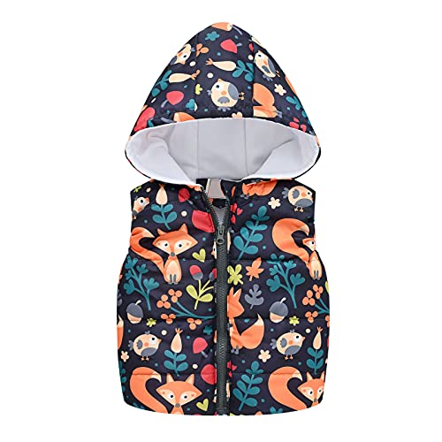 TinaDeer Baby Winter Kapuzenweste mit Regenbogen Fuchs Druck Kinder Mädchen Jungen Steppweste mit Kapuzen Neugeborene Kleinkind Weste Jacke Ärmellos Daunenweste für 2-8 Jahre (Schwarz, 2-3 Jahre) von TinaDeer