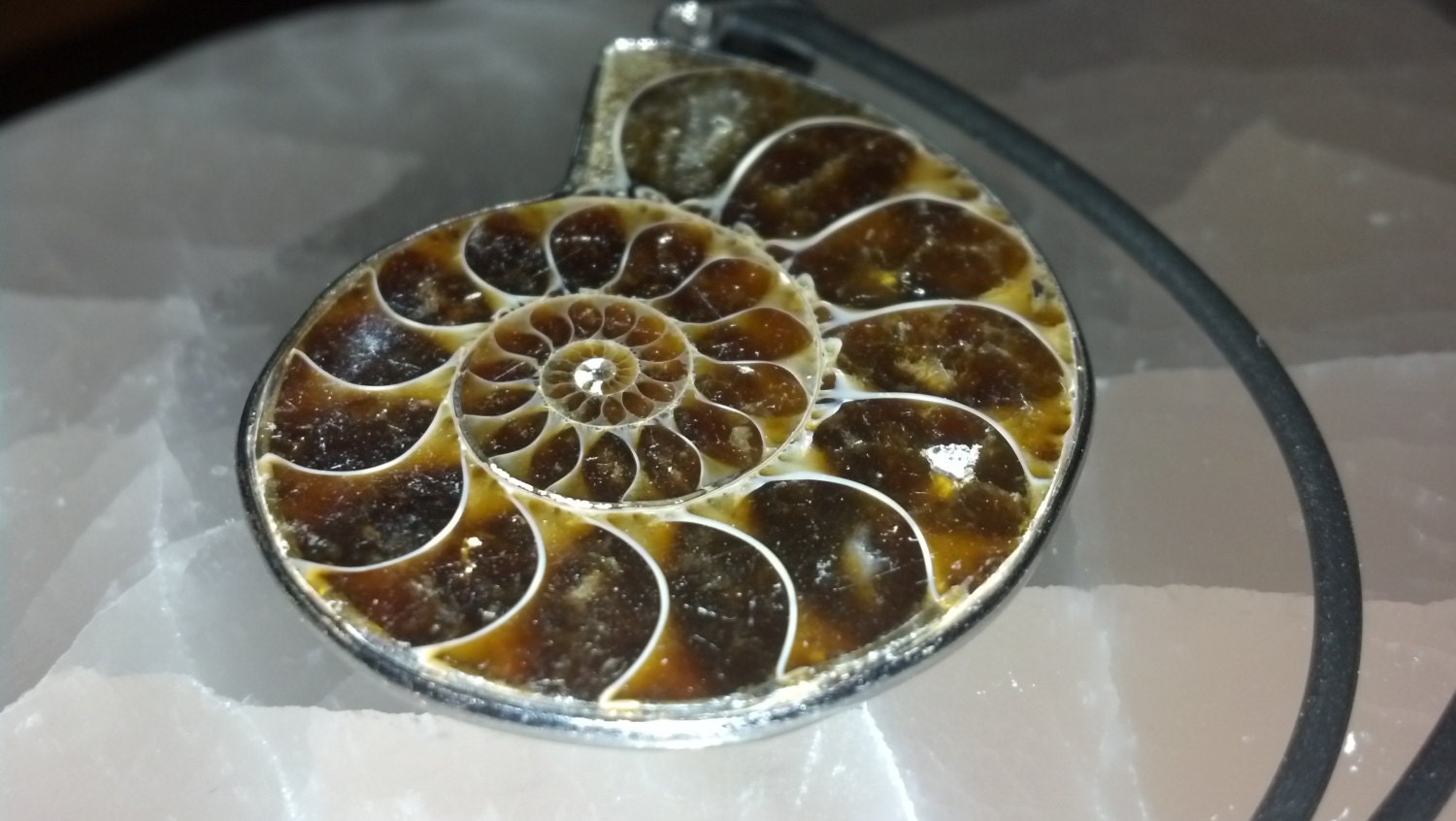 Ammonite Mit Schwarzer Leder Halskette - Spielraum Ammonite Mit Schwarzer Leder Halskette - Spielraum von TinaVigosStudios