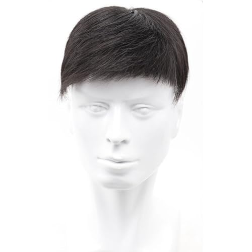 Tingyilan Herren Hair Tropper Natürliche Schwarz Kurze Männer Topper Perücke Echthaar Toupet Ersatzsysteme mit 4 Clips & 10 doppelseitigen Bändern,Short,16x18cm von Tingyilan