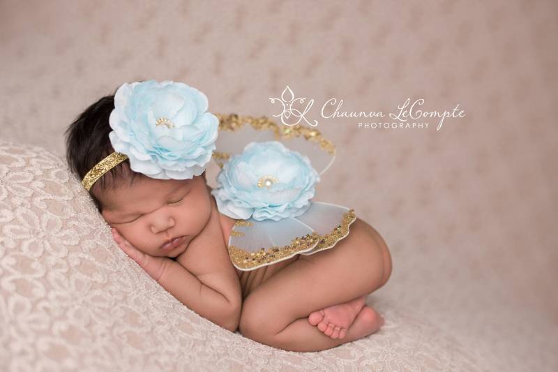 Cinderella Blau Und Gold Schmetterling Flügel Set, Neugeborenen Flügel, Prop, Baby Neugeborene Foto Schmetterlingsflügel Cinderella Blau Und Gold Schmetterling Flügel Set, Neugeborenen Flügel, Prop, Baby Neugeborene Foto Schmetterlingsflügel von TinyBlessingsBoutiqu