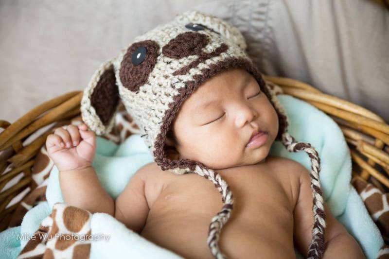 Welpe Hund Hustet Jungen Häkeln Braun Ohrklappe von TinyIslandHandmade