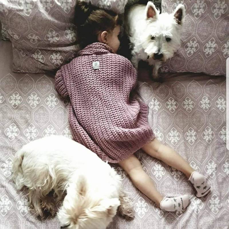 Aschgrau/Rosa Strickjacke Wollstrickjacke Alpaka Wolle Pullover Wollpullover Aschgrau/Rosa Strickjacke Wollstrickjacke Alpaka Wolle Pullover Wollpullover von TinywooLShop