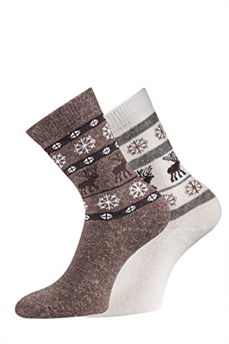 TippTexx 24 Alpakasocken, 2 Paar superweiche Socken, Skandinavien Style für Damen u Herren mit zusätzlicher Garantie (Braun/Wollweiß, 39/42) von TippTexx 24