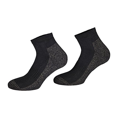 TippTexx 24 2 Paar X-Static-Silbersocken gegen Schweißfüße, Antiloch-Garantie (as3, numeric, numeric_39, numeric_42, regular, regular, Kurzschaft) von TippTexx 24