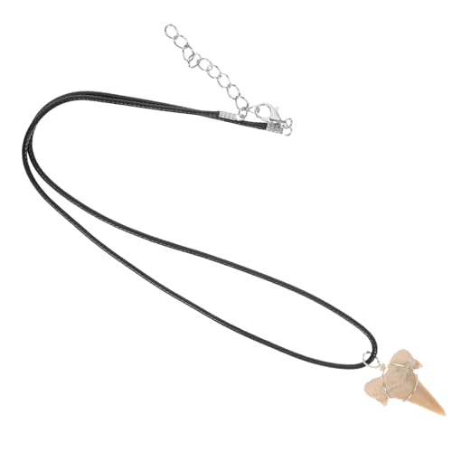 Toddmomy Haifischzahn Halskette Für Frauen Leichte Und Bequeme Kette Mit Symbolischer Bedeutung Handgefertigter Anhänger Für Mädchen Für Tägliches Tragen Und Geschenke von Toddmomy
