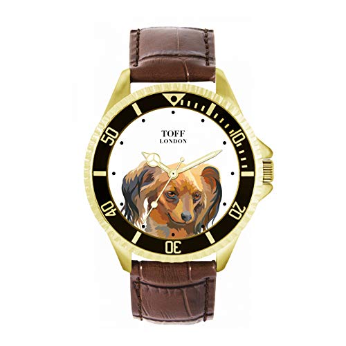 Toff London Brown Russian Toy Terrier Haupthundeuhr von Toff London
