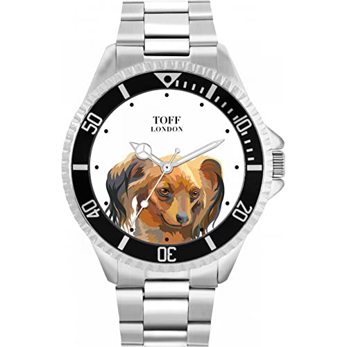 Toff London Brown Russian Toy Terrier Haupthundeuhr von Toff London