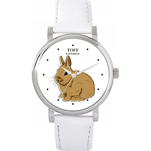 Toff London Brown Netherland Zwerg Kaninchen Uhr von Toff London