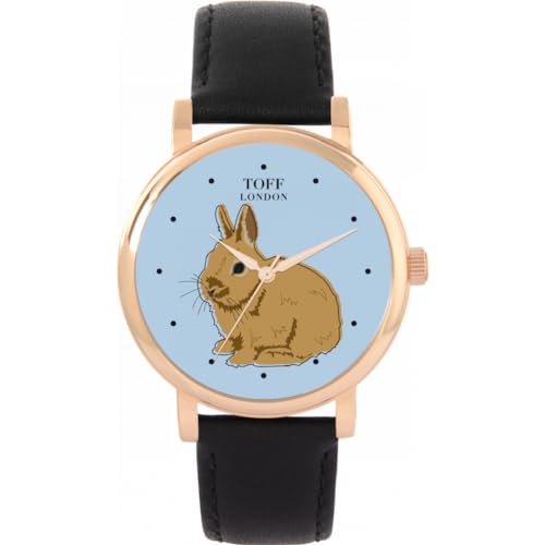 Toff London Brown Netherland Zwerg Kaninchen Uhr von Toff London