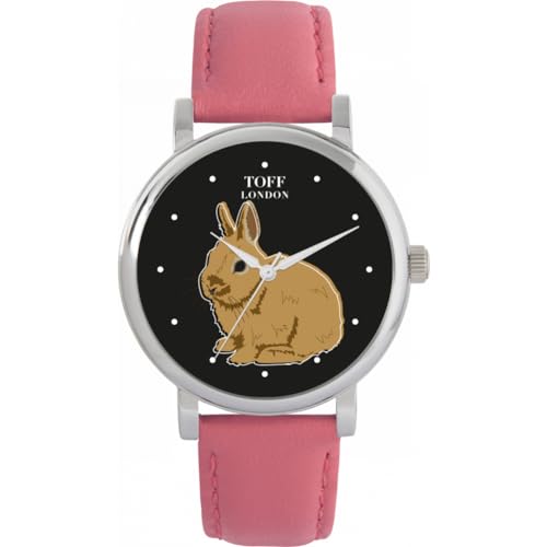 Toff London Brown Netherland Zwerg Kaninchen Uhr von Toff London