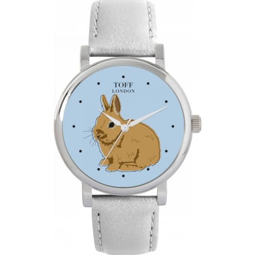 Toff London Brown Netherland Zwerg Kaninchen Uhr von Toff London