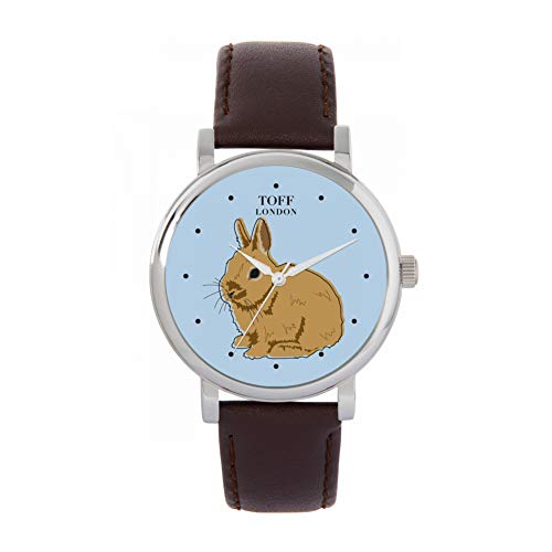 Toff London Brown Netherland Zwerg Kaninchen Uhr von Toff London