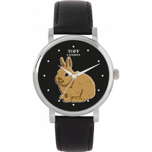 Toff London Brown Netherland Zwerg Kaninchen Uhr von Toff London