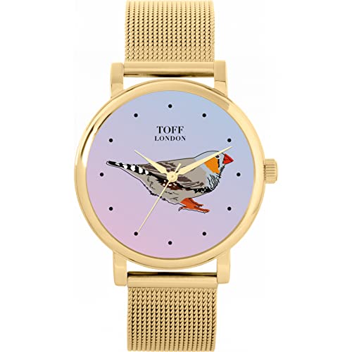 Toff London Grey Finche Vogelbeobachtung von Toff London