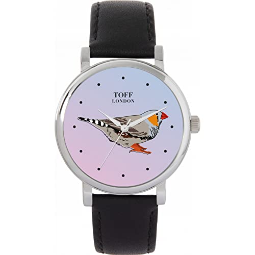 Toff London Grey Finche Vogelbeobachtung von Toff London