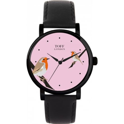 Toff London Robins Vogelbeobachtung von Toff London