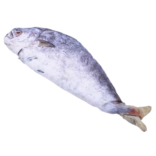 Tofficu Simuliertes Fisch Federmäppchen Fischförmiges Stifteetui Kosmetiktasche Lustige Schreibwaren Organizer Cartoon Federtasche für Schule und Büro von Tofficu