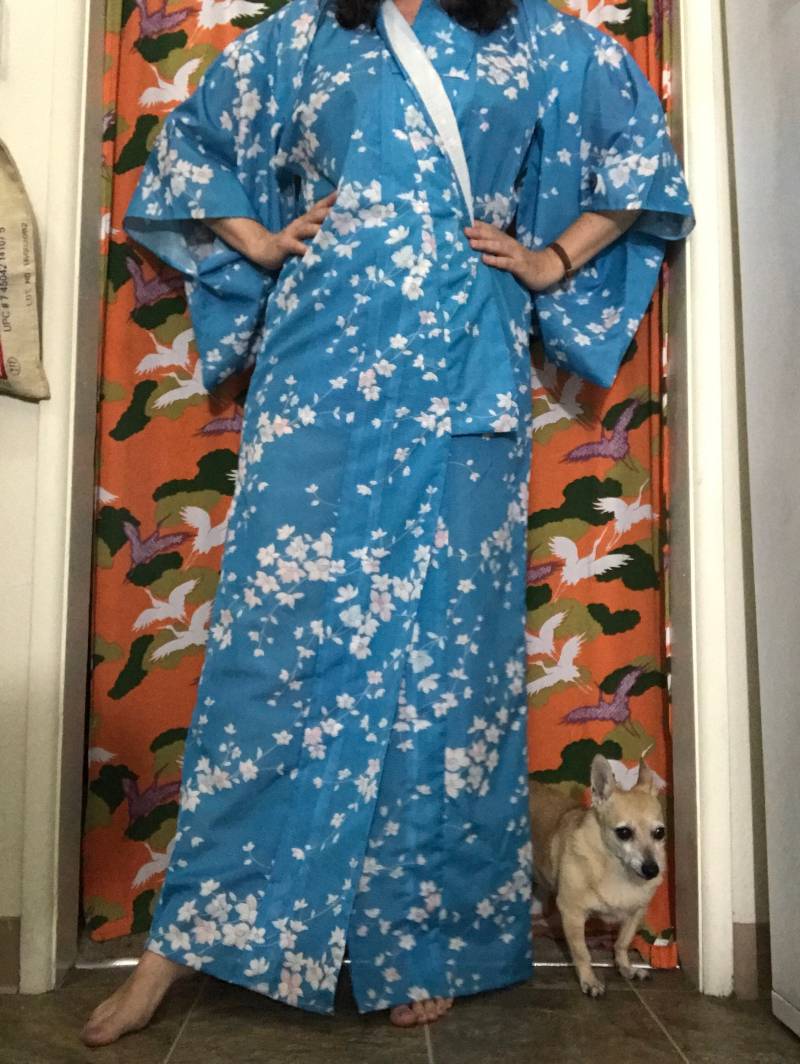 Jahrgang Schiere Kimono Jahrgang Schiere Kimono von TomboyRebel