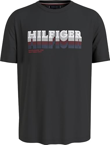 Tommy Hifliger Herren T-Shirt Big & Tall (DE/NL/SE/PL, Alphanumerisch, 4XL, Große Größen, Tall, Black) von Tommy Hilfiger