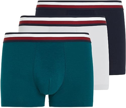 Tommy Hilfiger Herren 3P Trunk Glob Stripe Wb Retroshorts, D Sky/Deep Spruce/Light Cast, XXL von Tommy Hilfiger