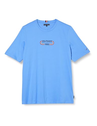 Tommy Hilfiger Herren T-Shirt Kurzarm Plus Regular Fit, Blau (Blue Spell), 4XL von Tommy Hilfiger