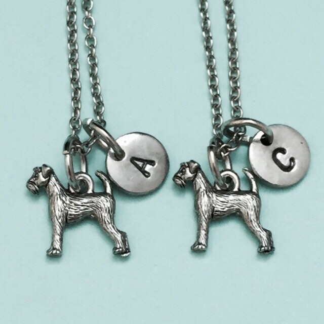 Bester Freund-Halskette, Airedale Terrier Halskette, Charme, Animal Schmuck, Bff Freundschaft Anfängliche Halskette von Toodaughters