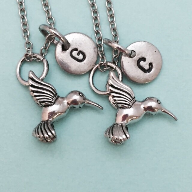 Bester Freund Halskette, Halskette Kolibri, Vogel-Charme, Bff Schwester Schmuck Von Freundschaft, Freunde, Personalisiert von Toodaughters