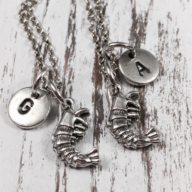 Freundschaft-Halskette, Garnelen Charme, Bester Freund Halskette, Personalisierte Bff Schwester Collier, Freunde-Schmuck von Toodaughters