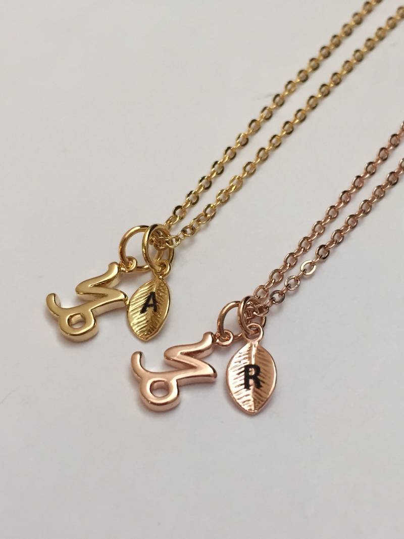 Steinbock, Steinbock Charme, Tierkreis Zeichen Kette, Personalisierte Halskette, Initial Ursprünglichen Monogramm von Toodaughters