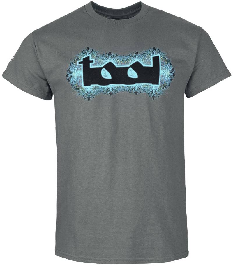 Tool Nerve Ending T-Shirt grau in S von Tool