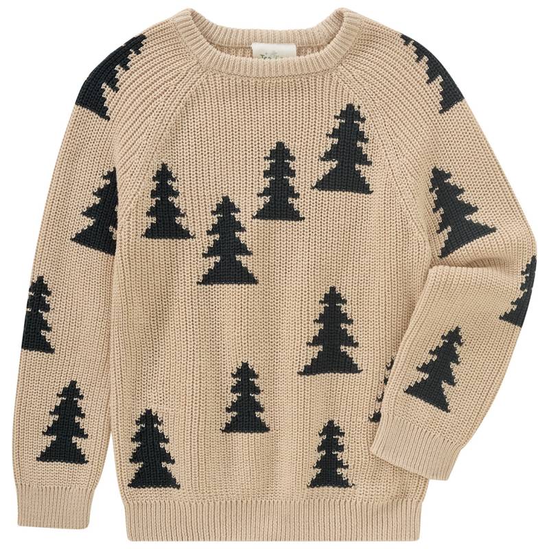 Jungen Strickpullover mit Tannen-Allover von Topolino