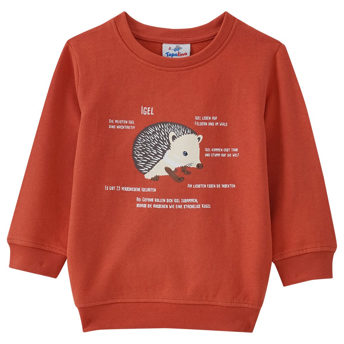 Kinder Sweatshirt mit Igel-Motiv von Topolino
