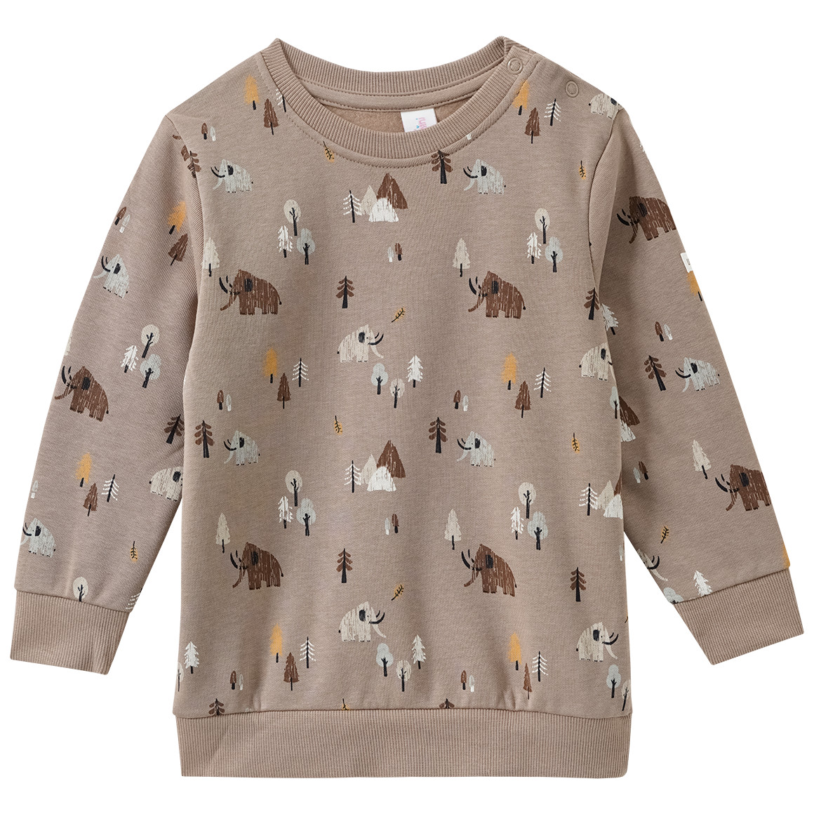 Baby Sweatshirt mit Allover-Print von Topomini