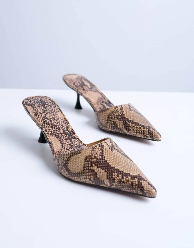 Topshop - Dorota - Spitze Mules mit Schlangenmuster und Kitten-Absatz-Bunt von Topshop