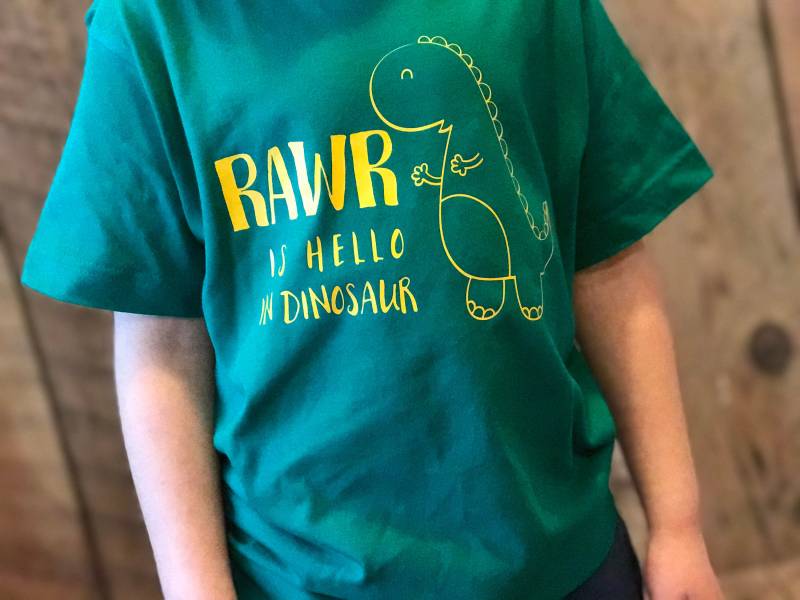 Rawr Ist Hallo in Dinosaurier-T-Shirt - Dini T-Shirt Dinosaurier Tshirr Jungen Tees Jungs Kleinkind von TotandRoo